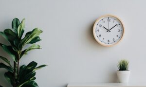 A minimalist scene showcasing a wall-mounted clock at 10:10, with two plants—one large leafy green plant and a smaller one in a white pot—on a shelf beneath it. The background is neutral gray, highlighting the simplicity and tranquility of the setting.